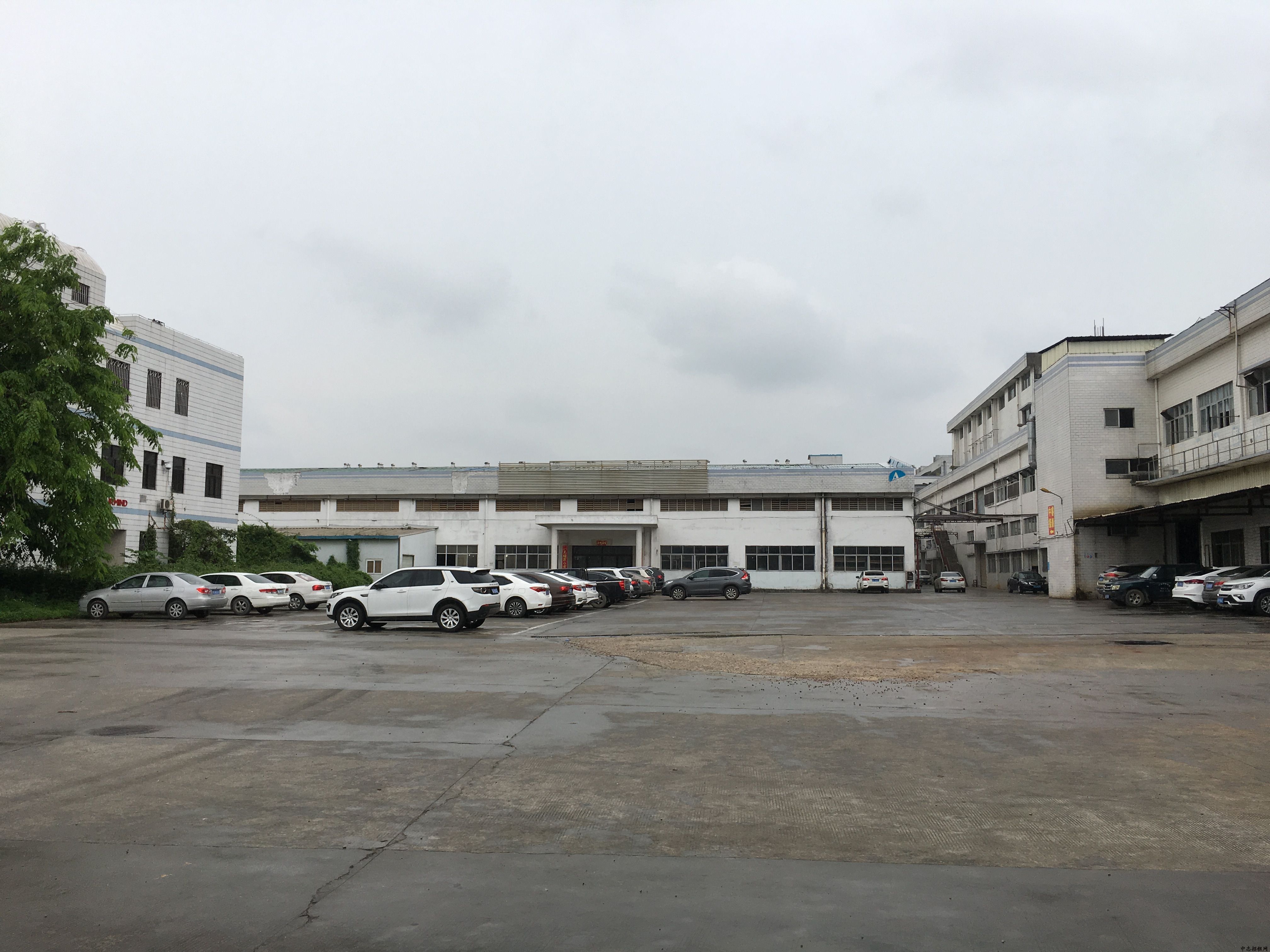 大嶺山楊屋村廠(chǎng)房出租